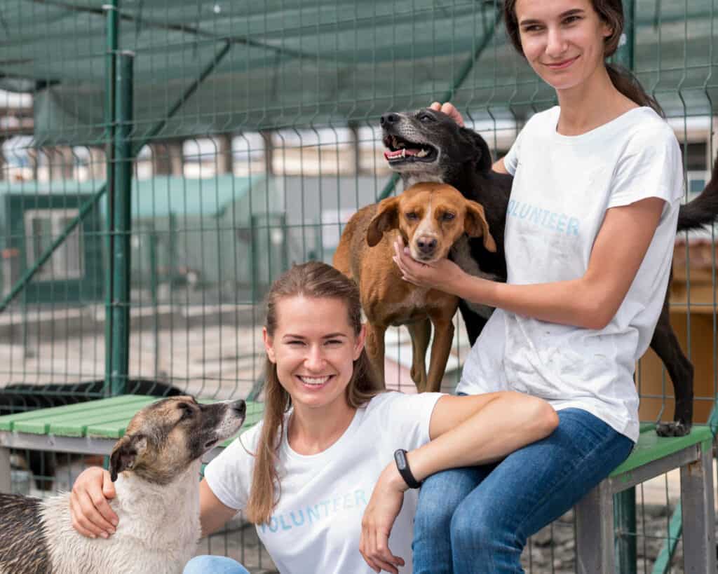 smiley woman spending time with cute rescue dogs shelter