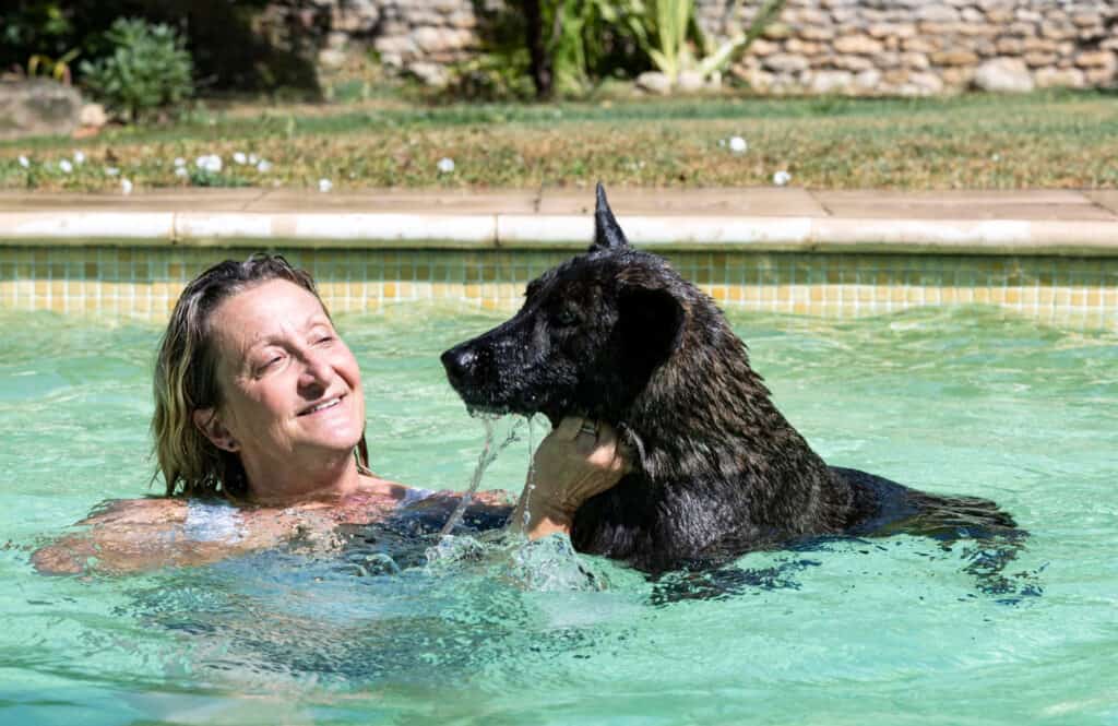 swimming dutch shepherd woman