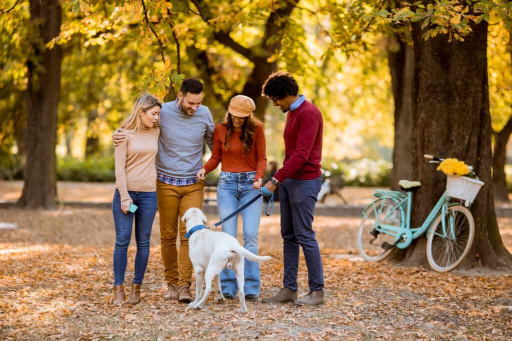 young people walking autumn park having fun